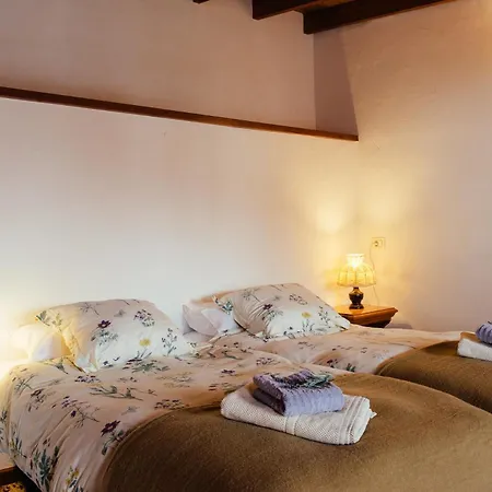 度假居 Finca Vilaflor *
