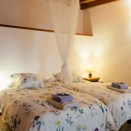 Feriehus Finca Vilaflor *